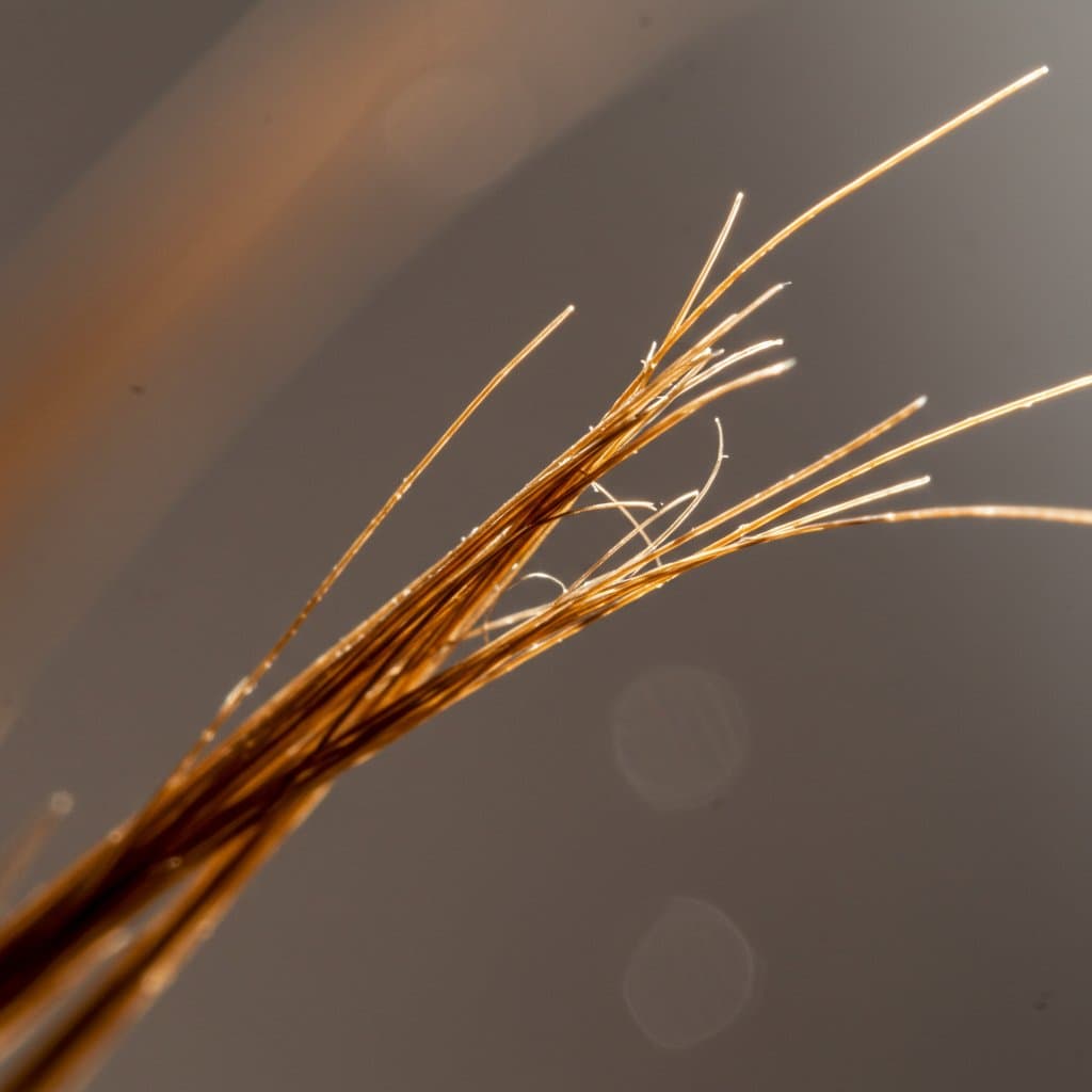 The Science of Split Ends: Unraveling Causes and Effective Treatments | Healthy Hair Guide