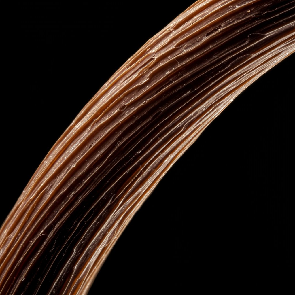 Macro-Photograph-Of-Raised-Hair-Cuticle