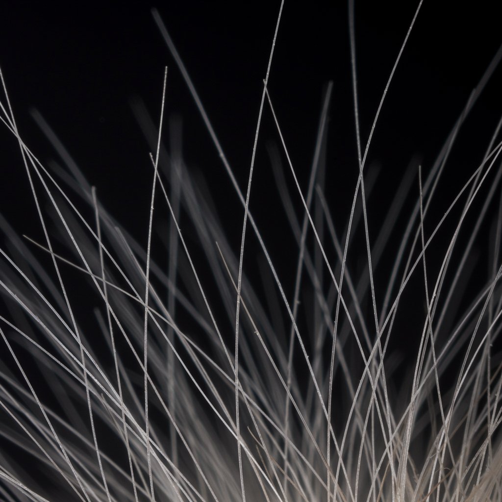 Close-Up-Of-Fine-Hair-Strands