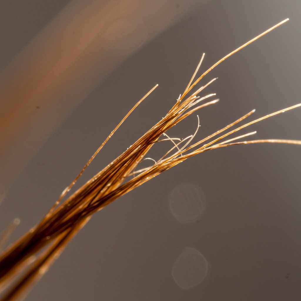 Close-Up-Of-Split-End